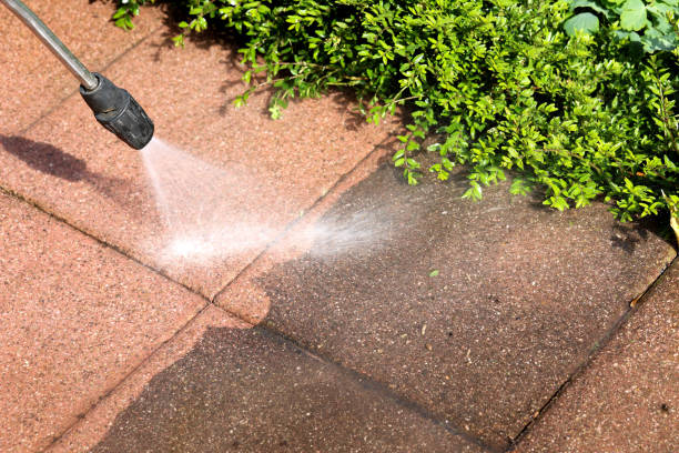 Best Commercial Pressure Washing in Walnut Hill, TN