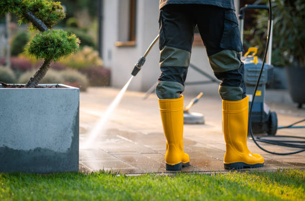 Best Gutter Cleaning in Walnut Hill, TN